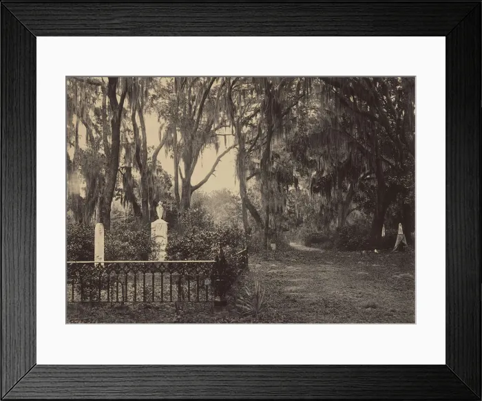 Framed Print : Buen-Ventura, Savanah, Georgia, 1860s. Creator: George N. Barnard Framed Print : Buen-Ventura, Savanah, Georgia, 1860s. Creator: George N. Barnard