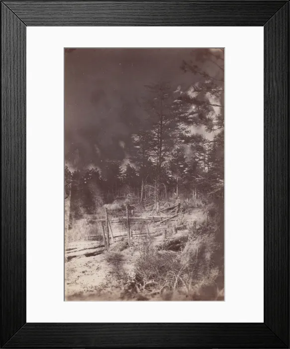 Framed Print : The Wilderness Battlefield, 1864. Creator: Unknown Framed Print : The Wilderness Battlefield, 1864. Creator: Unknown