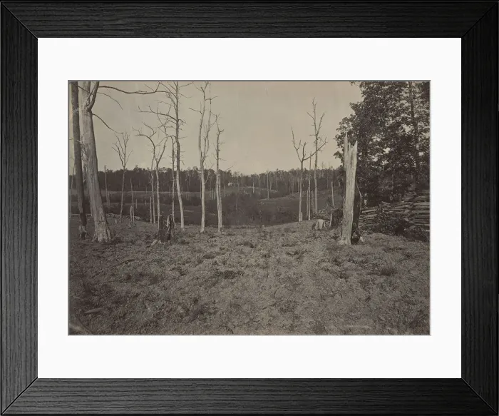 Framed Print : Battle Ground of Resacca, Georgia No. 1, 1860s. Creator: George N. Barnard Framed Print : Battle Ground of Resacca, Georgia No. 1, 1860s. Creator: George N. Barnard