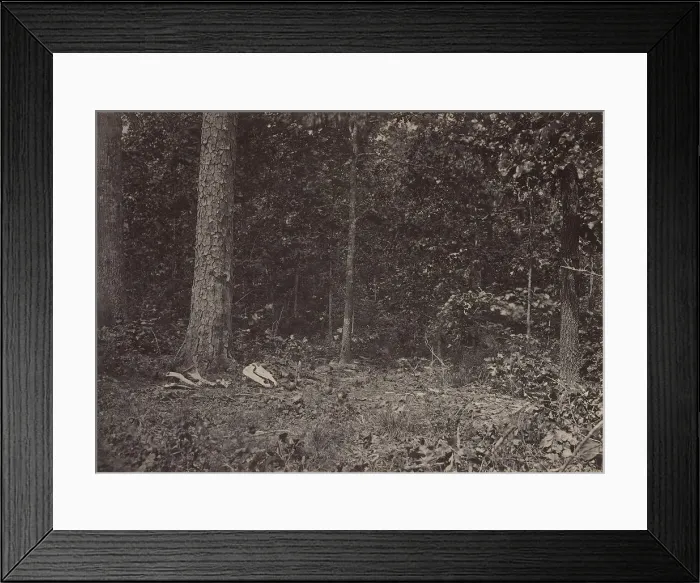Framed Print : Scene of General McPhersons Death, 1864 or 1866. Creator: George N. Barnard Framed Print : Scene of General McPhersons Death, 1864 or 1866. Creator: George N. Barnard