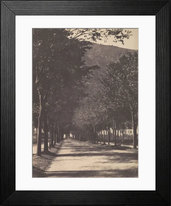 Framed Print : Allee of Trees, Pau, 1854. Creator: William Henri Gebhard Framed Print : Allee of Trees, Pau, 1854. Creator: William Henri Gebhard