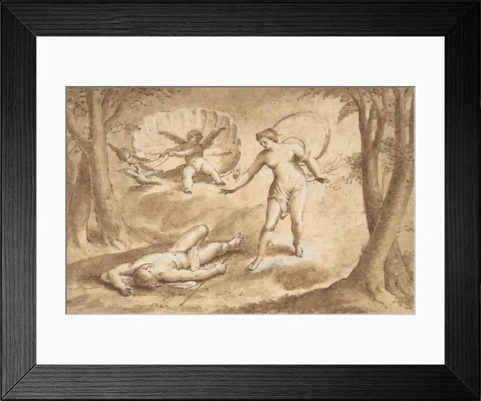 Framed Print : Venus Discovering the Death of Adonis, 17th century. Creator: Anon