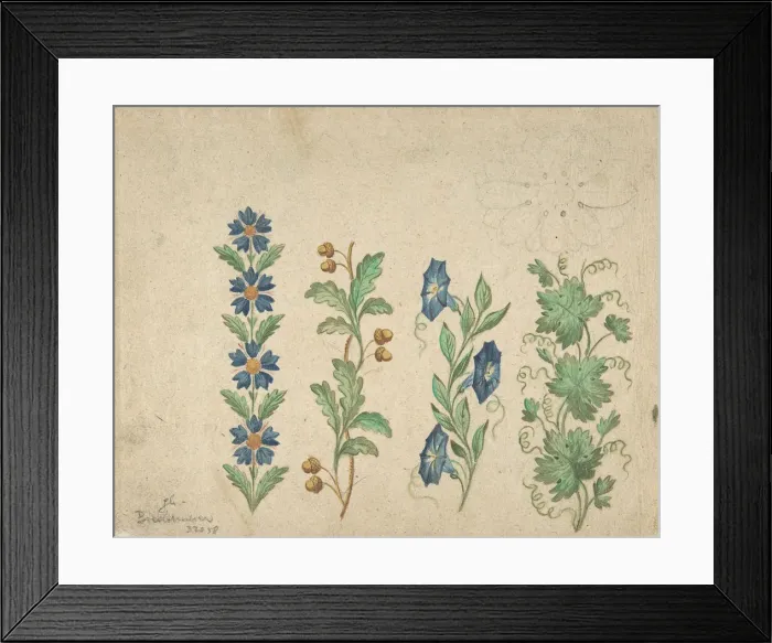 Framed Print : Designs for Embroidery, 19th century. Creator: Anon Framed Print : Designs for Embroidery, 19th century. Creator: Anon