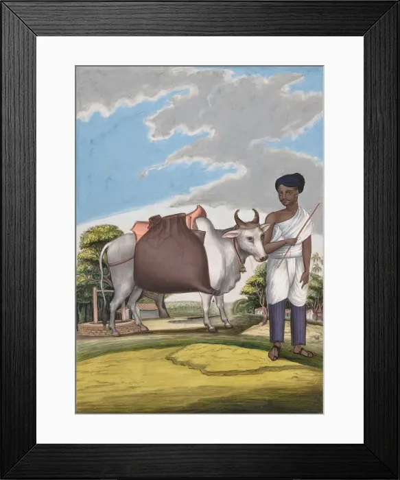 Framed Print : Puckaly in Moor Cast, from Indian Trades and Castes, ca. 1840. Creator: Anon Framed Print : Puckaly in Moor Cast, from Indian Trades and Castes, ca. 1840. Creator: Anon