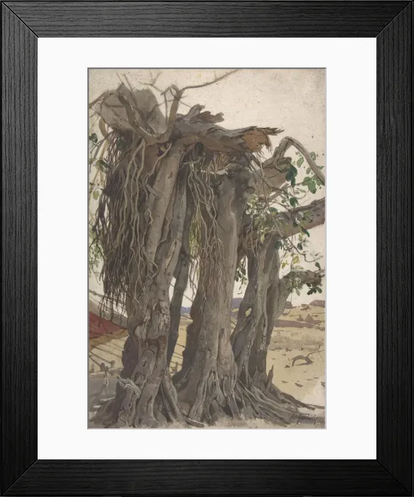 Framed Print : Study of a Stump with Aerial Roots, mid-19th-early 20th century Framed Print : Study of a Stump with Aerial Roots, mid-19th-early 20th century