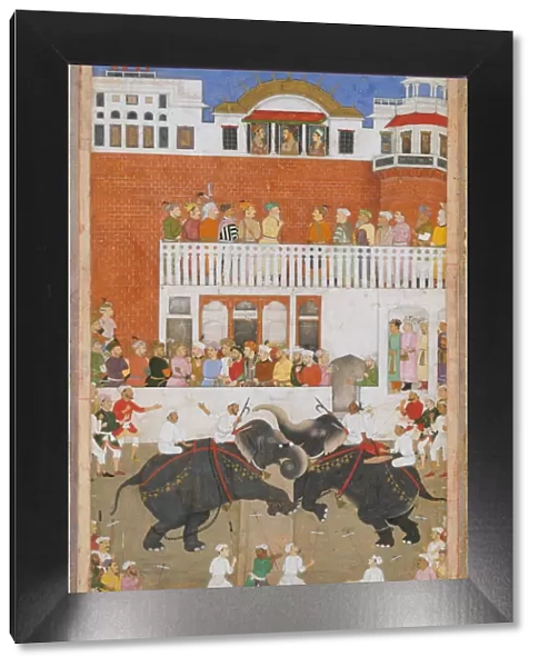 Shah Jahan Watching an Elephant Fight, Folio from a Padshahnama, probably 1639