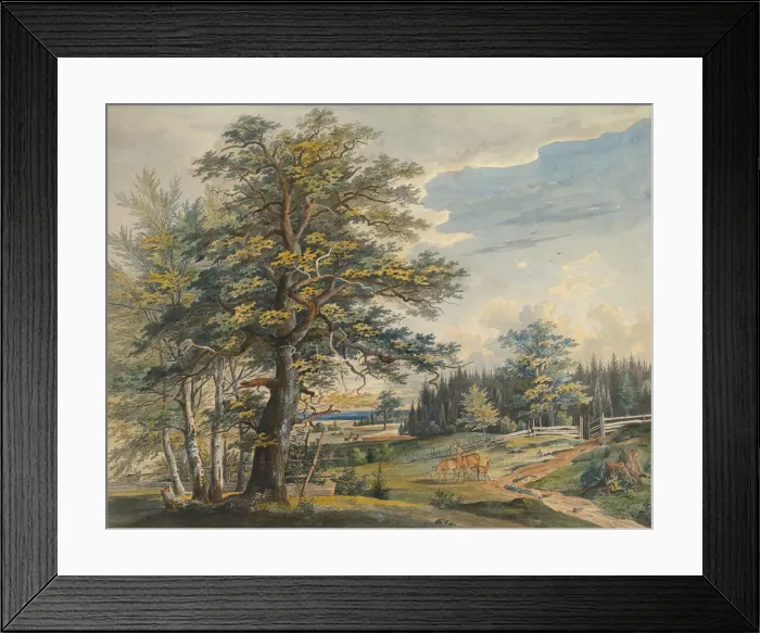 Framed Print : Wooded Landscape with Stag, 1800-1877. Creator: Carl August Lebschee Framed Print : Wooded Landscape with Stag, 1800-1877. Creator: Carl August Lebschee