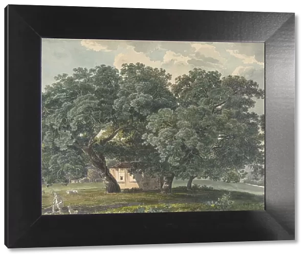 Italian Landscape with Trees (recto), 1815-21. Creator: Friedrich Salathe