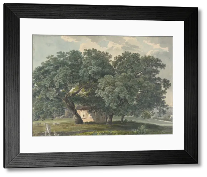 Framed Print : Italian Landscape with Trees (recto), 1815-21. Creator: Friedrich Salathe Framed Print : Italian Landscape with Trees (recto), 1815-21. Creator: Friedrich Salathe