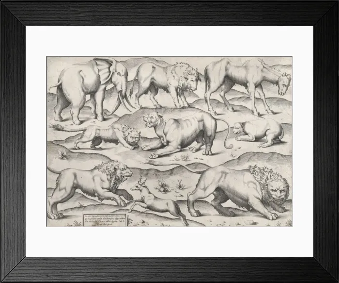 Framed Print : Speculum Romanae Magnificentiae: Wild Animals, from antique wall paintings, plate 1, 1547 Framed Print : Speculum Romanae Magnificentiae: Wild Animals, from antique wall paintings, plate 1, 1547