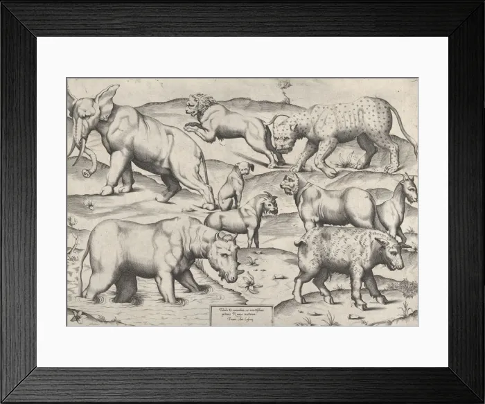 Framed Print : Speculum Romanae Magnificentiae: Wild Animals, from antique wall paintings, plate 2, 1547 Framed Print : Speculum Romanae Magnificentiae: Wild Animals, from antique wall paintings, plate 2, 1547
