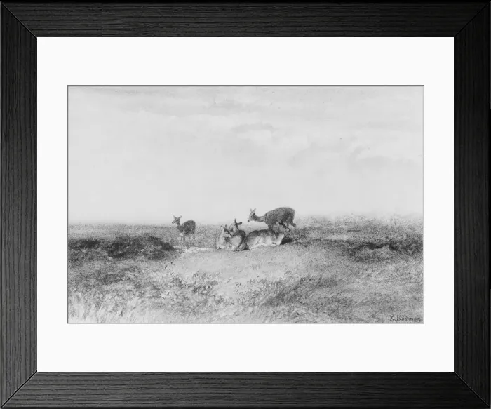 Framed Print : Deer in a Landscape. Creator: Karl Bodmer Framed Print : Deer in a Landscape. Creator: Karl Bodmer