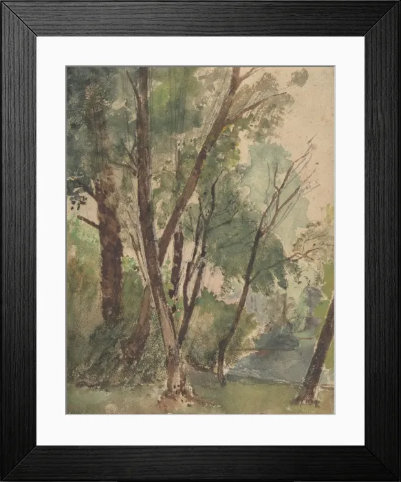 Framed Print : Trees Beside a Pond, 1853-1878. Creator: Louis-Antoine-Leon Riesener Framed Print : Trees Beside a Pond, 1853-1878. Creator: Louis-Antoine-Leon Riesener