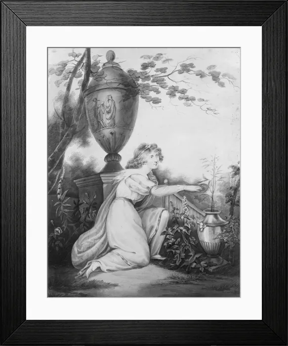 Framed Print : The Sensitive Plant, 1808. Creator: Maria Edgar Framed Print : The Sensitive Plant, 1808. Creator: Maria Edgar