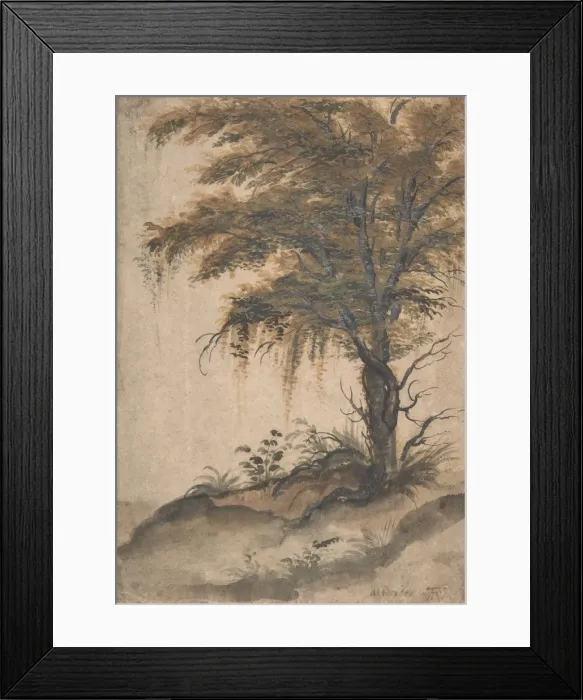 Framed Print : Study of a Tree, mid-16th-early 17th century. Creator: Marten van Valckenborch Framed Print : Study of a Tree, mid-16th-early 17th century. Creator: Marten van Valckenborch