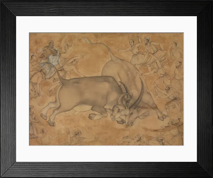 Framed Print : Buffaloes in Combat, late 16th century. Creator: Attributed to Miskin Framed Print : Buffaloes in Combat, late 16th century. Creator: Attributed to Miskin