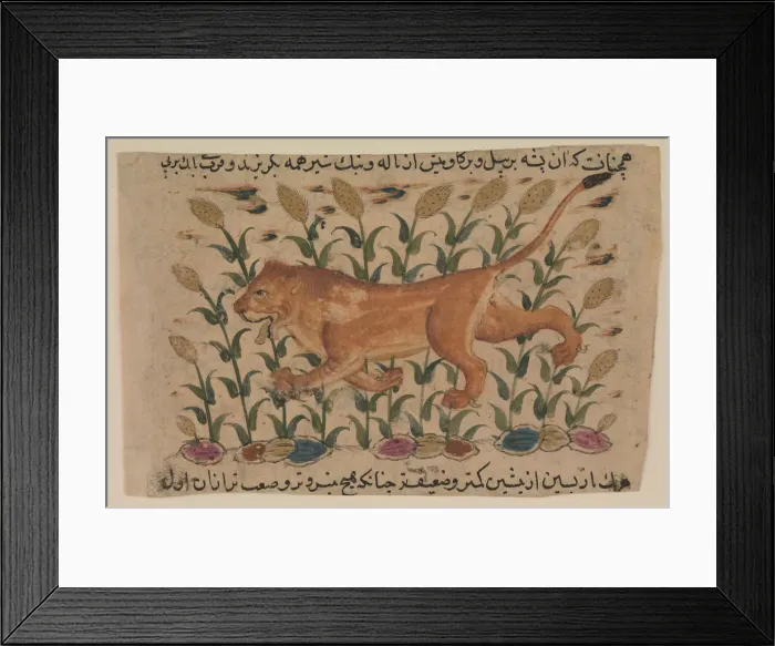 Framed Print : A Lion, Folio from a Dispersed Nuzhatnama-i Ala’ Framed Print : A Lion, Folio from a Dispersed Nuzhatnama-i Ala’