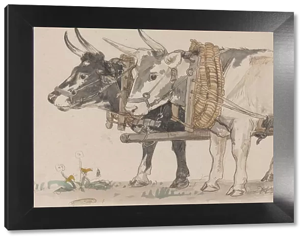 Two Oxen Pulling a Cart, 1874. Creator: Peter Christian Thamsen Skovgaard