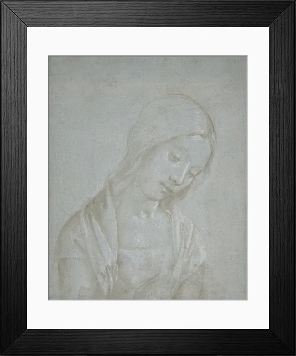 Framed Print : Bust of a Young Woman, ca. 1495. Creator: Attributed to Piero di Cosimo Framed Print : Bust of a Young Woman, ca. 1495. Creator: Attributed to Piero di Cosimo