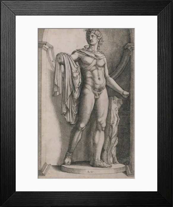Framed Print : Speculum Romanae Magnificentiae: Apollo Belvedere, ca. 1514-36. ca. 1514-36
