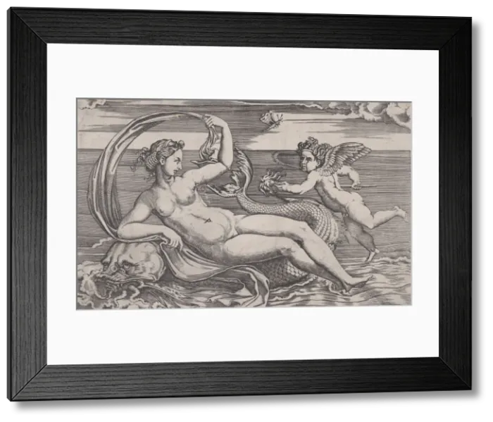 Framed Print : Venus Reclining on a Dolphin, ca. 1516. Creator: Agostino Veneziano Framed Print : Venus Reclining on a Dolphin, ca. 1516. Creator: Agostino Veneziano