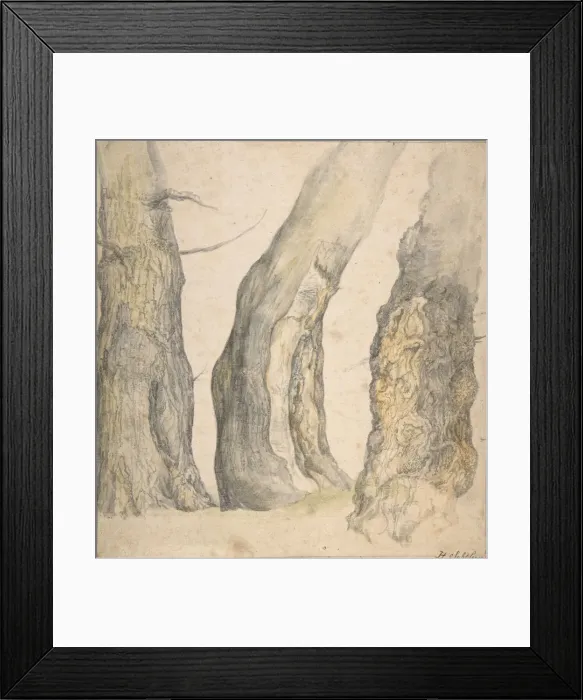 Framed Print : Study of Three Old Gnarled Trees, 1660. Creator: Jan Siberechts Framed Print : Study of Three Old Gnarled Trees, 1660. Creator: Jan Siberechts