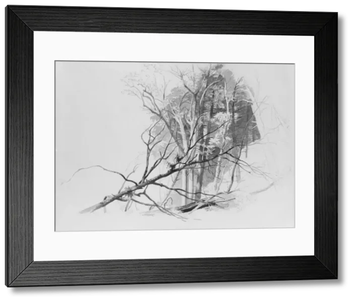 Framed Print : Forest Scene. Creator: Johann Hermann Carmiencke Framed Print : Forest Scene. Creator: Johann Hermann Carmiencke