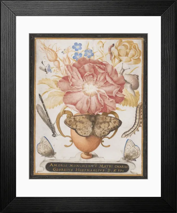 Framed Print : Still Life with Flowers, a Snail and Insects, 1589. Creator: Joris Hoefnagel Framed Print : Still Life with Flowers, a Snail and Insects, 1589. Creator: Joris Hoefnagel
