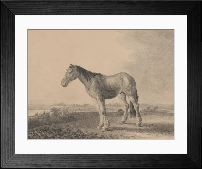 Framed Print : Horse standing on a field in profile to left, 1809. Creator: Adam von Bartsch Framed Print : Horse standing on a field in profile to left, 1809. Creator: Adam von Bartsch