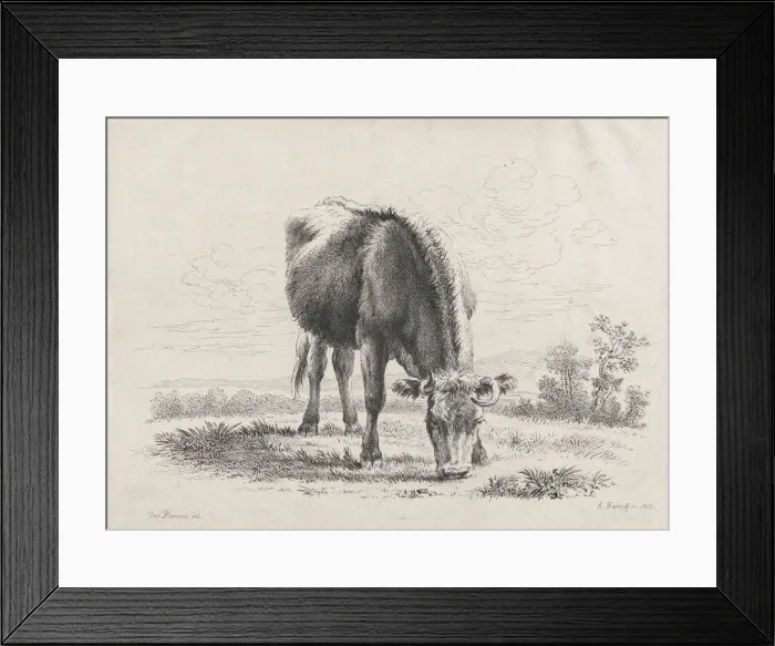Framed Print : Cow grazing, 1805. 1805. Creator: Adam von Bartsch Framed Print : Cow grazing, 1805. 1805. Creator: Adam von Bartsch