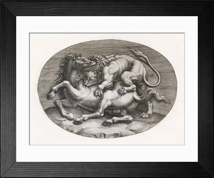 Framed Print : Speculum Romanae Magnificentiae: Lion Attacking a Horse, c1540-80 Framed Print : Speculum Romanae Magnificentiae: Lion Attacking a Horse, c1540-80