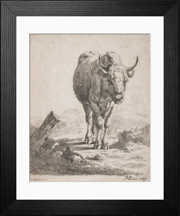 Framed Print : A cow, seen from the front, 1805. Creator: Adam von Bartsch Framed Print : A cow, seen from the front, 1805. Creator: Adam von Bartsch