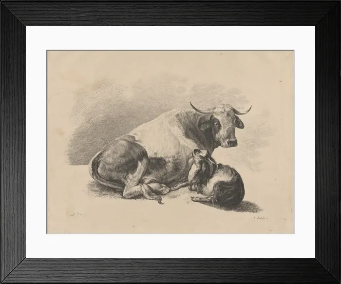 Framed Print : Cow and goat lying down, 1800-01. Creator: Adam von Bartsch Framed Print : Cow and goat lying down, 1800-01. Creator: Adam von Bartsch