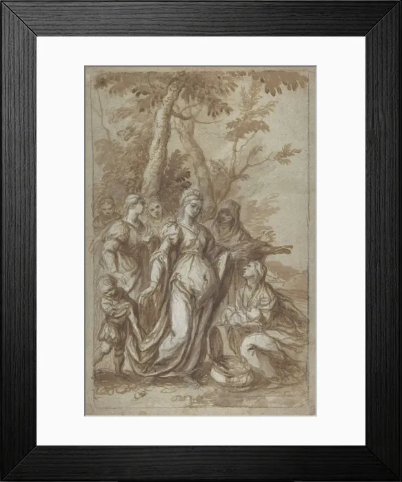 Framed Print : The Finding of Moses, ca. 1671. Creator: Giovanni Stefano Danedi Framed Print : The Finding of Moses, ca. 1671. Creator: Giovanni Stefano Danedi