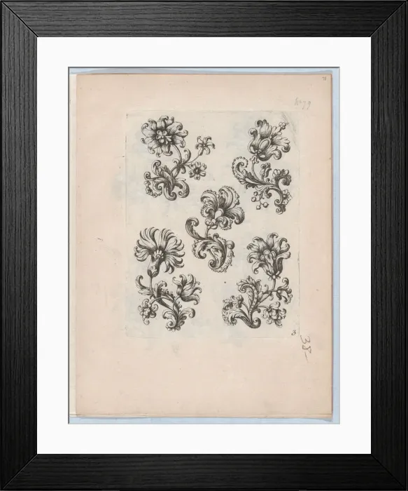 Framed Print : Series of Small Flower Motifs, Plate 3, ca. 1670-85. ca. 1670-85 Framed Print : Series of Small Flower Motifs, Plate 3, ca. 1670-85. ca. 1670-85