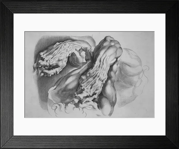 Framed Print : Three Studies of Ecorches, after 1640. after 1640. Creator: Paulus Pontius Framed Print : Three Studies of Ecorches, after 1640. after 1640. Creator: Paulus Pontius