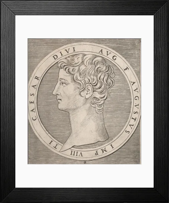 Framed Print : Speculum Romanae Magnificentiae: Tiberius, from The Twelve Caesars, ca. 1500-1534. ca Framed Print : Speculum Romanae Magnificentiae: Tiberius, from The Twelve Caesars, ca. 1500-1534. ca
