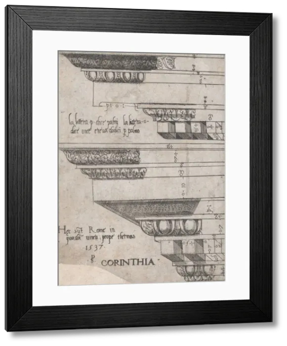 Framed Print : Speculum Romanae Magnificentiae: Corinthian entablature, 1537. 1537. Creator: Master PS Framed Print : Speculum Romanae Magnificentiae: Corinthian entablature, 1537. 1537. Creator: Master PS