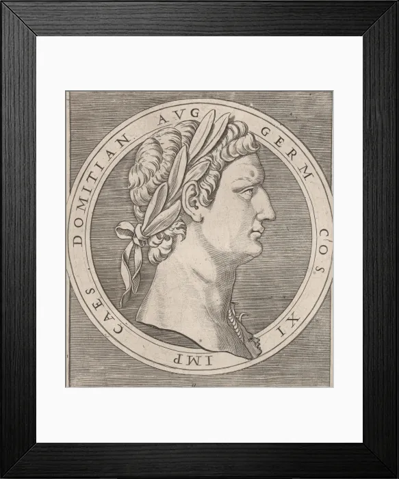 Framed Print : Speculum Romanae Magnificentiae: Domitian, from The Twelve Caesars, ca. 1500-1534. ca Framed Print : Speculum Romanae Magnificentiae: Domitian, from The Twelve Caesars, ca. 1500-1534. ca