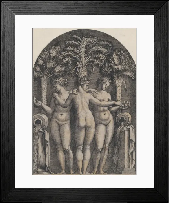 Framed Print : Speculum Romanae Magnificentiae: The Three Graces, ca. 1500-1534. ca. 1500-1534 Framed Print : Speculum Romanae Magnificentiae: The Three Graces, ca. 1500-1534. ca. 1500-1534