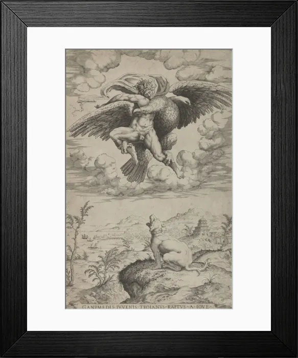 Framed Print : The Rape of Ganymede by Jupiter in the guise of an eagle carrying him into the heavens Framed Print : The Rape of Ganymede by Jupiter in the guise of an eagle carrying him into the heavens
