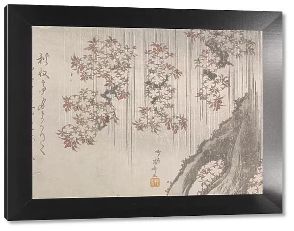 Cherry Blossoms in the Rain, 19th century. 19th century. Creator: Shinsai
