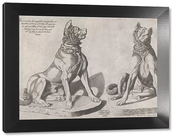 Speculum Romanae Magnificentiae: Two Dogs, 1558. 1558. Creator: Sebastiano di Re