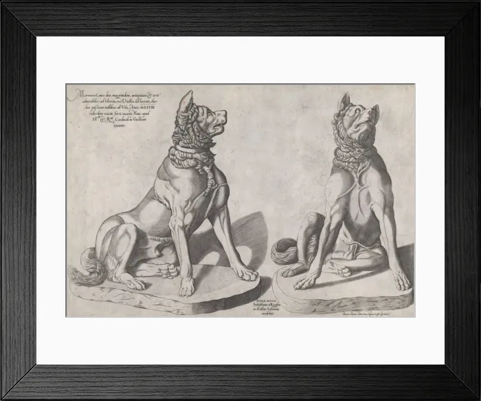 Framed Print : Speculum Romanae Magnificentiae: Two Dogs, 1558. 1558. Creator: Sebastiano di Re Framed Print : Speculum Romanae Magnificentiae: Two Dogs, 1558. 1558. Creator: Sebastiano di Re
