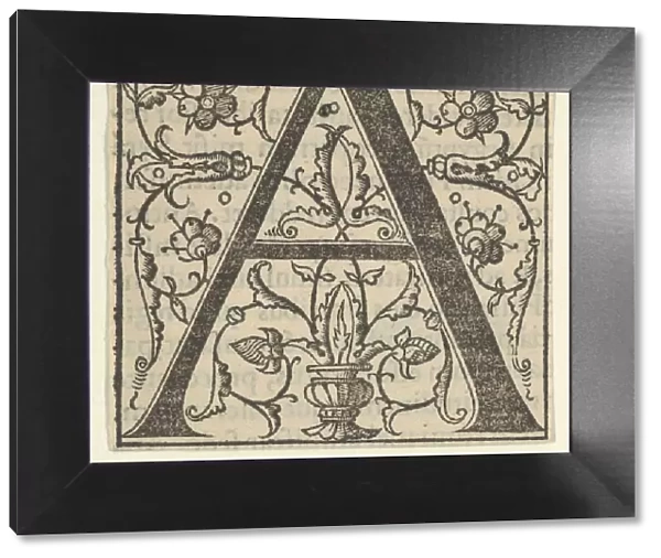 Initial letter A with garlands, mid-16th century. mid-16th century