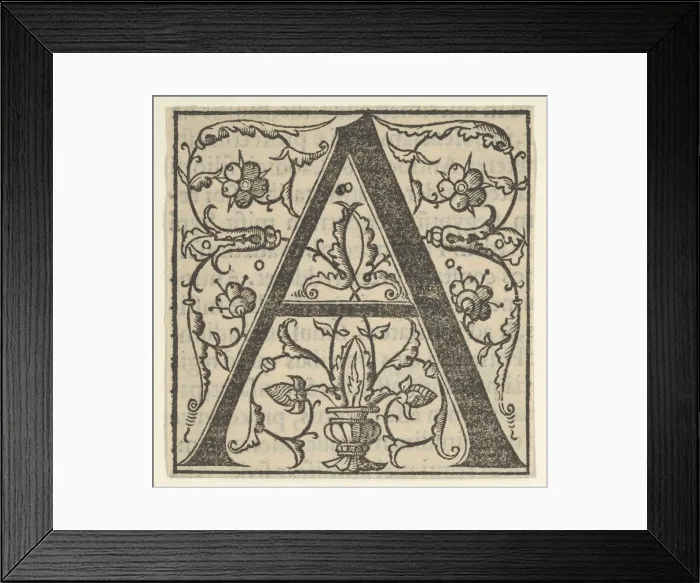 Framed Print : Initial letter A with garlands, mid-16th century. mid-16th century Framed Print : Initial letter A with garlands, mid-16th century. mid-16th century