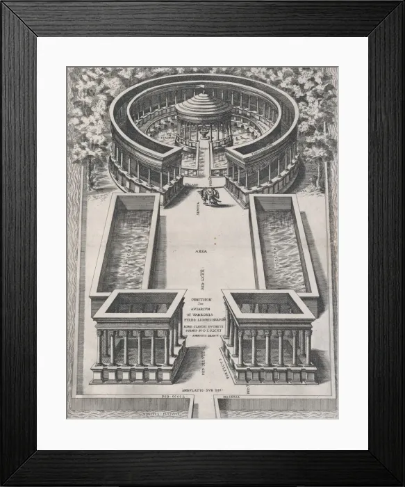 Framed Print : Speculum Romanae Magnificentiae: Ornithon Sive Aviarum, 1581. 1581 Framed Print : Speculum Romanae Magnificentiae: Ornithon Sive Aviarum, 1581. 1581