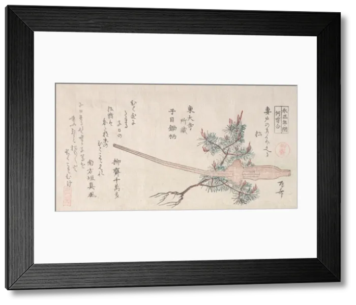 Framed Print : Young Pine Tree and the Handle of a Plow, 19th century. 19th century. Creator: Shinsai Framed Print : Young Pine Tree and the Handle of a Plow, 19th century. 19th century. Creator: Shinsai