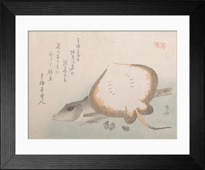 Framed Print : Stingray and Gurnard, probably 1815. probably 1815. Creator: Shinsai Framed Print : Stingray and Gurnard, probably 1815. probably 1815. Creator: Shinsai