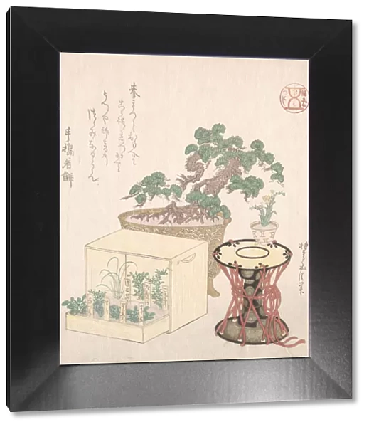 Potted Pine Tree, Drum and Seven Herbs Planted in a Box, 18th-19th century